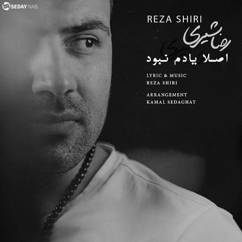 دانلود آهنگ جدید رضا شیری به نام اصلا یادم نبود
